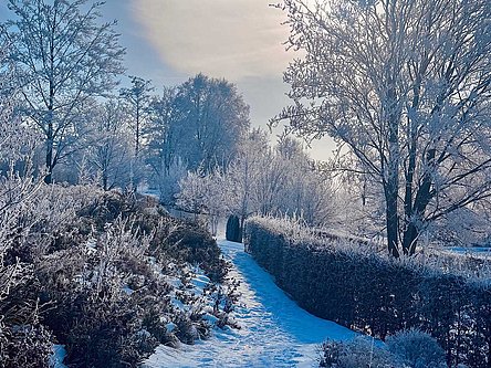AIGO Garten überzogen mit Raureif