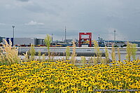 Neuer Hafen Linz