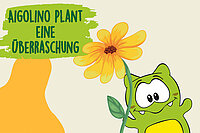 Aigolino plant eine Überraschung