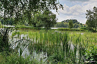 Fisch- & Wasserpflanzenlehrpfad am Urlsee