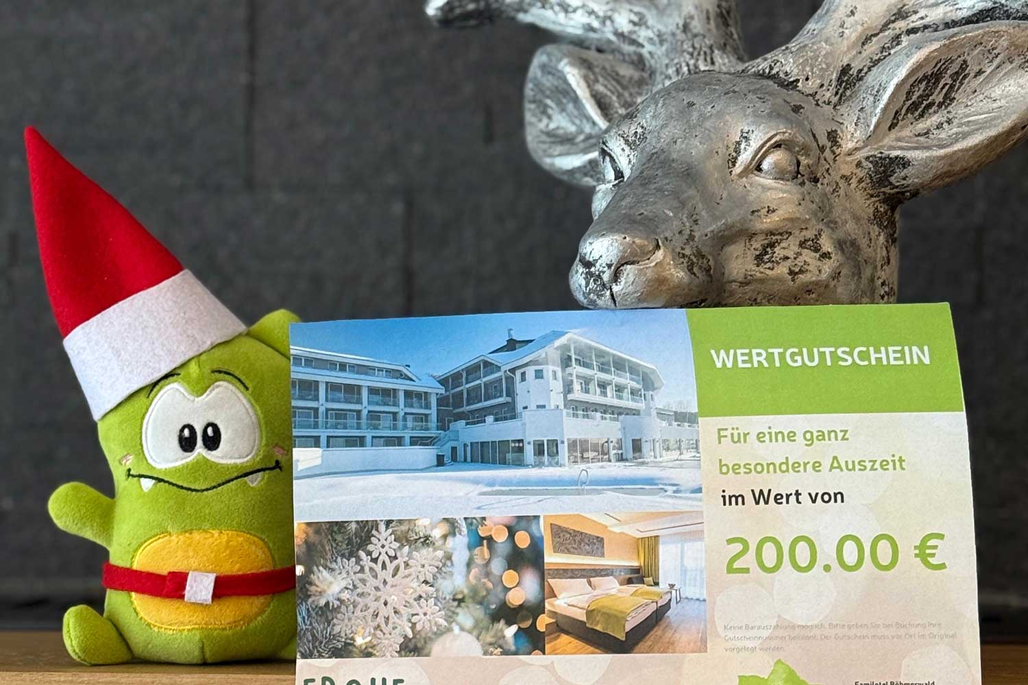 Aigolino Elf zeigt den AIGO Weihnachtsgutschein